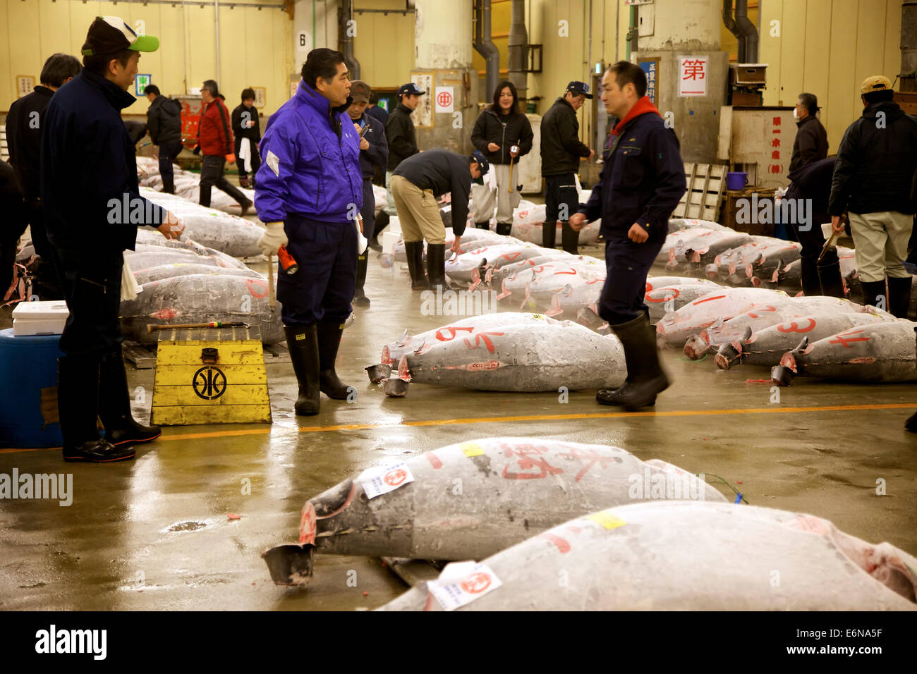 Vente aux enchères de thon au marché aux poissons de Tsukiji, Tokyo, Japon, Asie, le plus grand marché de fruits de mer en gros dans le monde. Les gens, les clients Banque D'Images