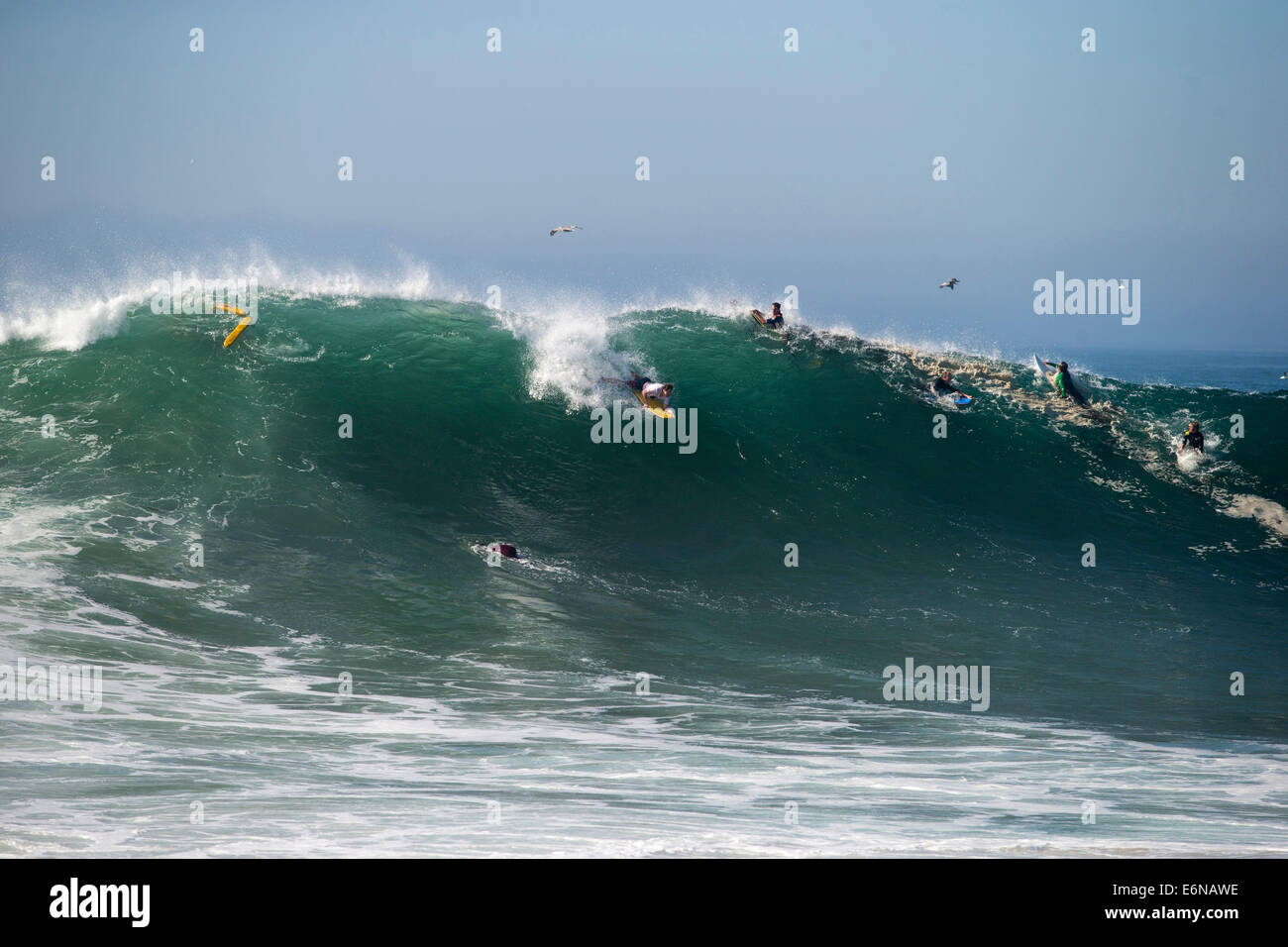 Newport Beach, Californie, USA. 27 août, 2014. Des vagues énormes pause à 'Le Coin' comme l'Ouragan Marie apporte des vagues de 20 à 25 pied de plages d'Orange County. Surfer non identifiés est secouru par des sauveteurs de Newport Beach après avoir essuyé dehors sur une vague géante. Après plusieurs tentatives pour l'amener à l'échec de la rive lui nagé sauveteurs sur un bateau d'attente juste en dehors de la gamme. © Merkel/A-Frame/ZUMAPRESS. Credit : ZUMA Press, Inc./Alamy Live News Banque D'Images