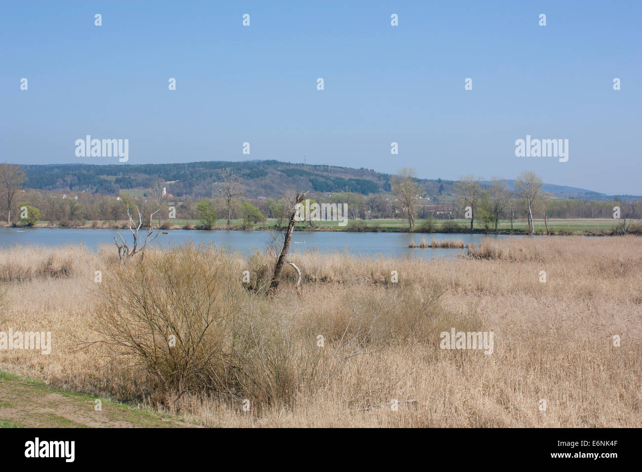 Allemagne Danube Donau bavarois de l'eau inondation Backwater Banque D'Images