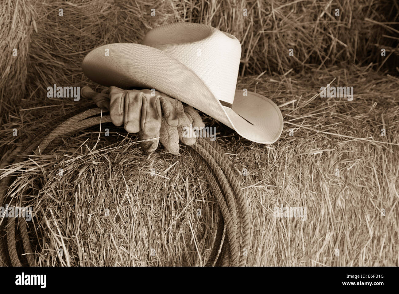 La vie toujours, Chapeau de cow-boy, Lariat et gants de travail sur une balle de foin, Montana, USA Banque D'Images