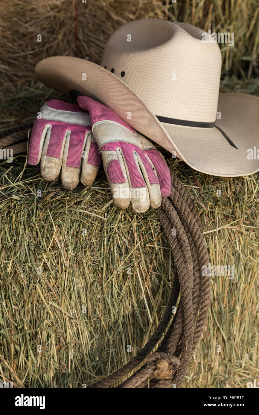 La vie toujours, Chapeau de cow-boy, Lariat et gants de travail sur une balle de foin, Montana, USA Banque D'Images