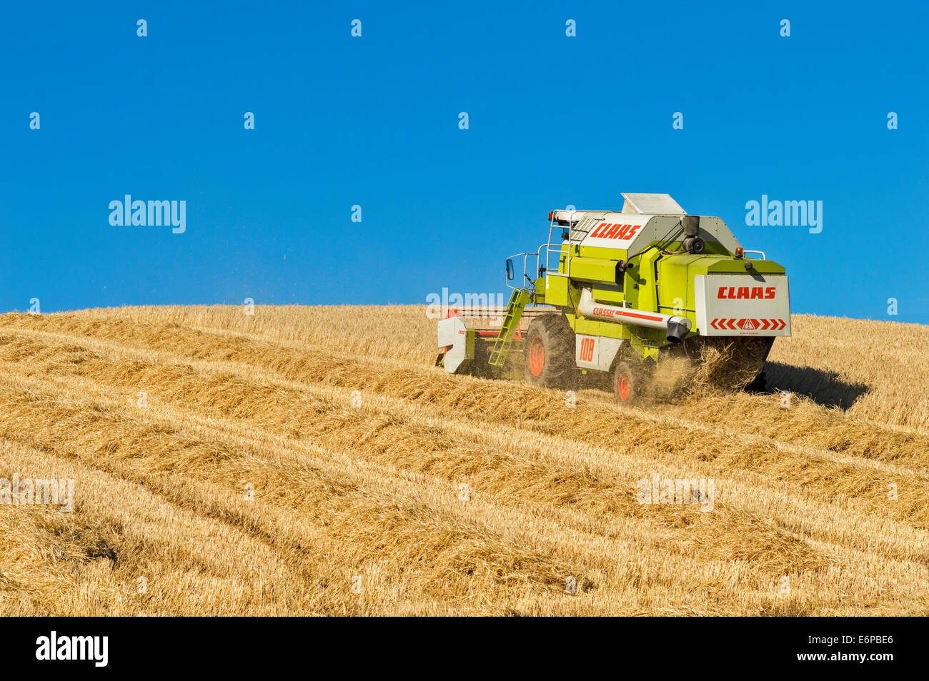 Le fauchage de moissonneuse-batteuse DANS UN CHAMP D'ORGE L'ABERDEENSHIRE ECOSSE Banque D'Images