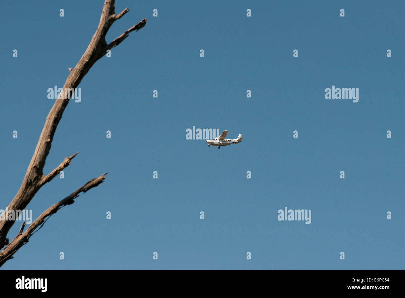 Petit avion de l'air. Chobe. Le drapeau zambien peint sur la silhouette d'un avion. Banque D'Images