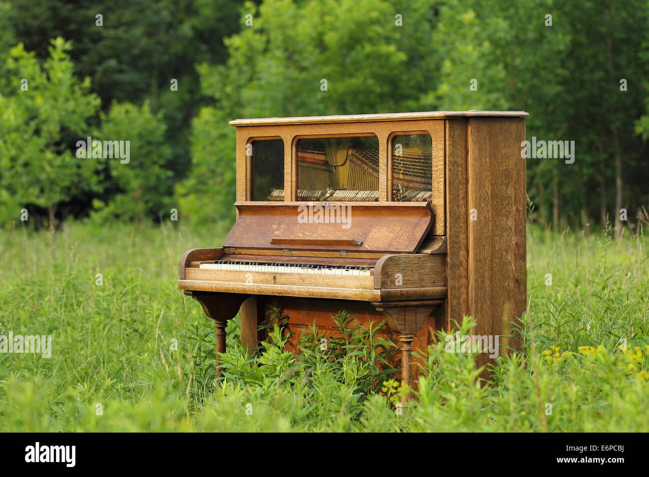 Piano droit ancien abandonné dans un champ vert Photo Stock - Alamy