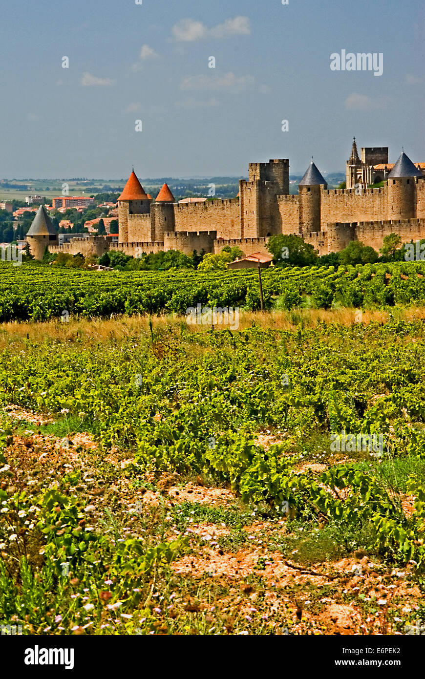 La vieille ville fortifiée de Carcassonne dans l'Aude est une région du sud-ouest de la France, les destinations touristiques. Banque D'Images