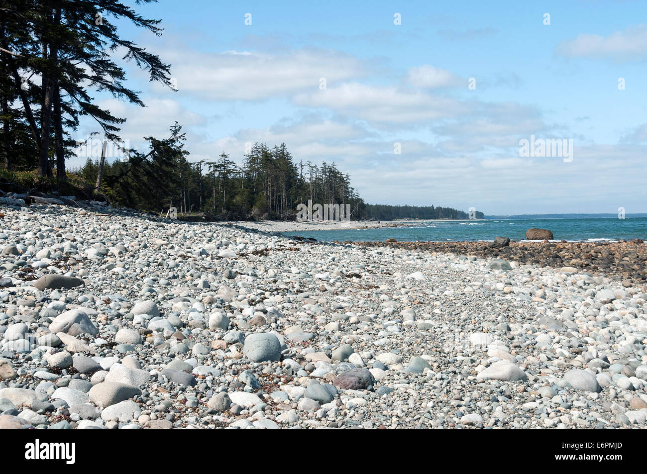 Elk203-4550 Canada, Colombie-Britannique, Haida Gwaii, Skidegate, plage de gravier le long du détroit d'Hecate Banque D'Images