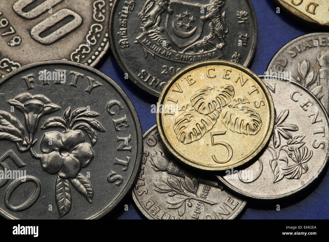 Pièces de Singapour. L'usine de salades de fruits (Monstera deliciosa) représenté dans le Singapour cinq cents pièce. Banque D'Images