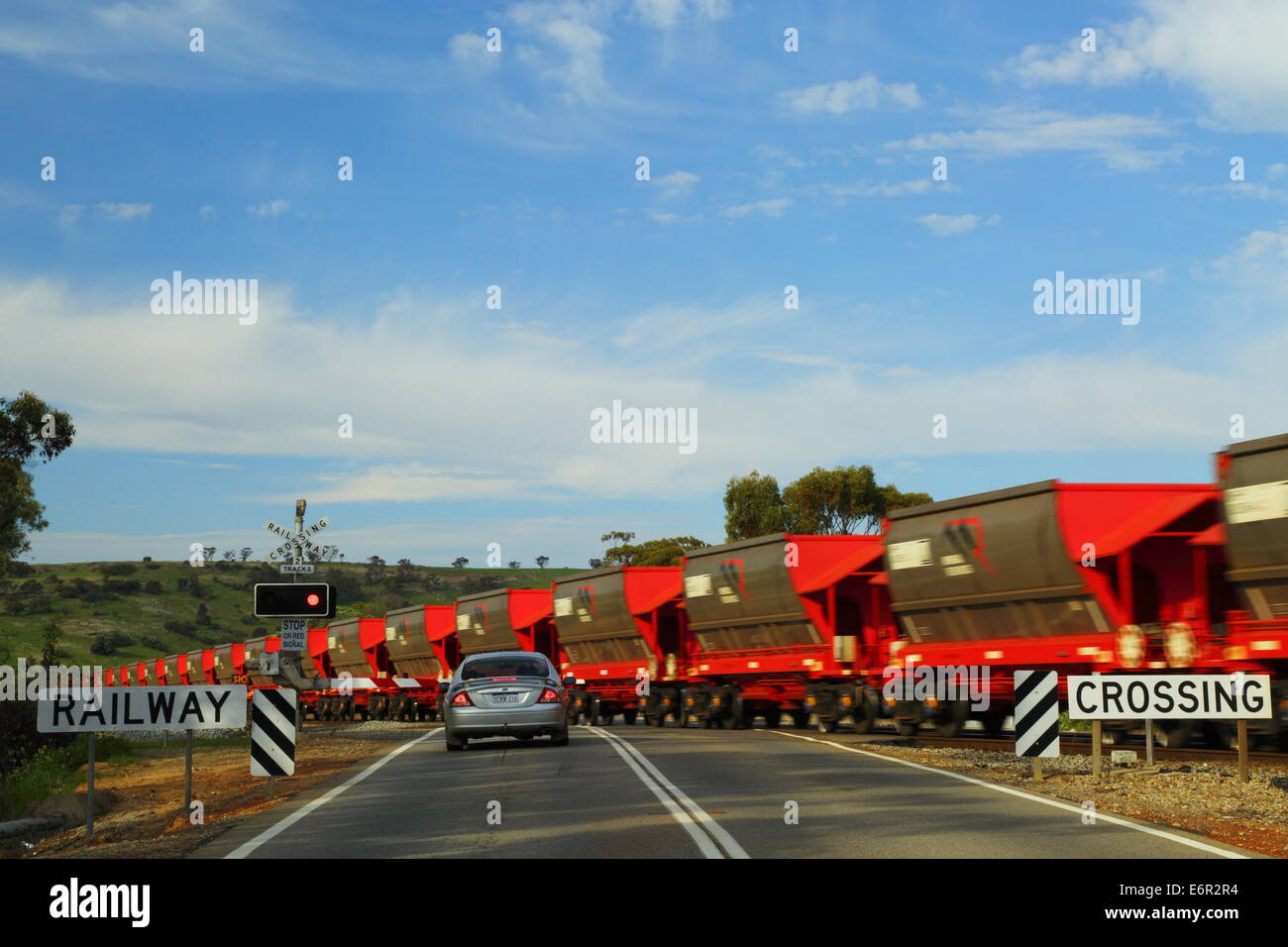Une voiture attend à un passage comme un train de marchandises avec des cellules à grains traverse la route près de Northam, dans l'ouest de l'Australie. Banque D'Images