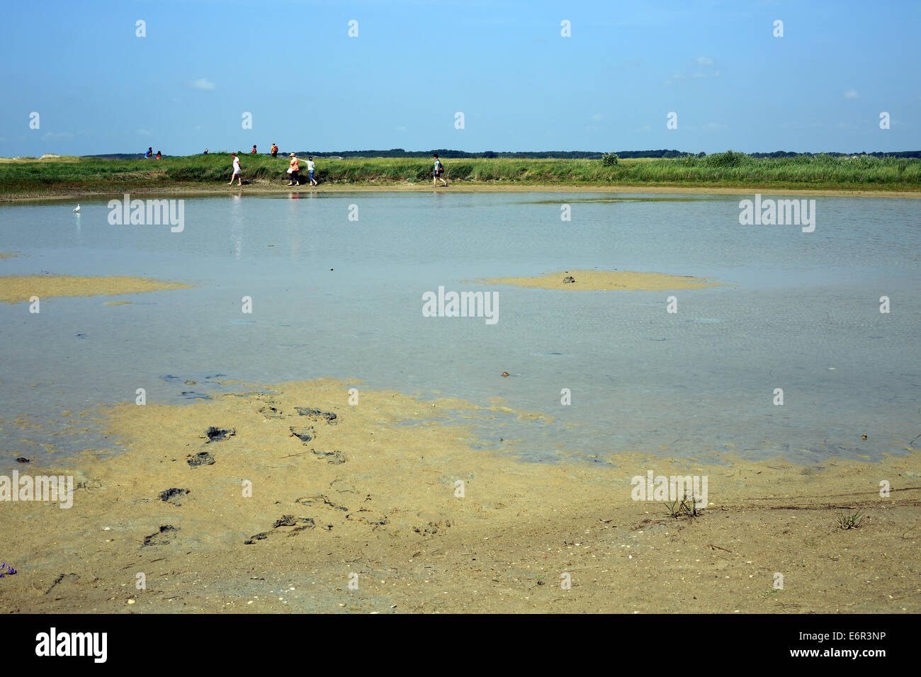 Baie de l'Authie, à Fort Mahon Plage, Somme, Picardie, France Photo