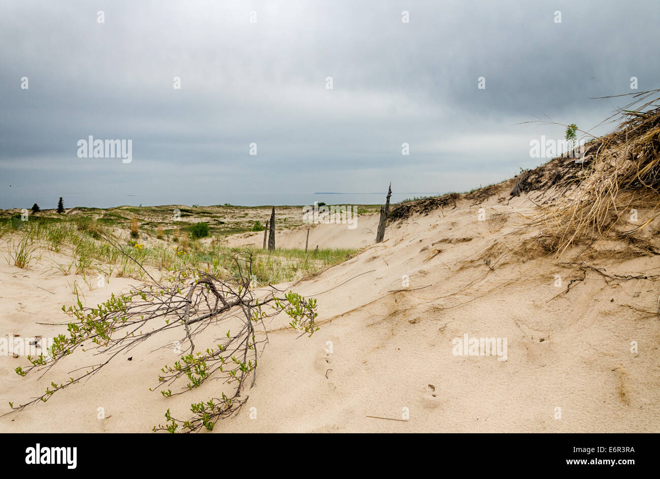 Dunes de sable qui sont une partie de l'Sleeping Bear Dunes National Lakeshore, dans le Michigan. Banque D'Images