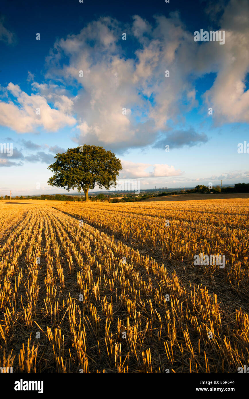 Un soir d'été à Stanton par Dale, Derbyshire, Angleterre, Royaume-Uni Banque D'Images