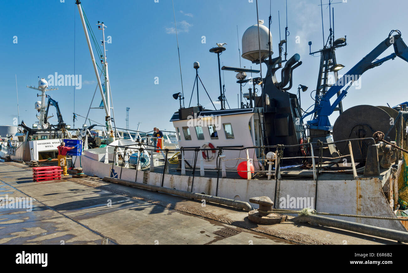 Port de déchargement de Peterhead, ABERDEENSHIRE CAISSES DE POISSON CONGELÉ D'UN CHALUTIER Banque D'Images