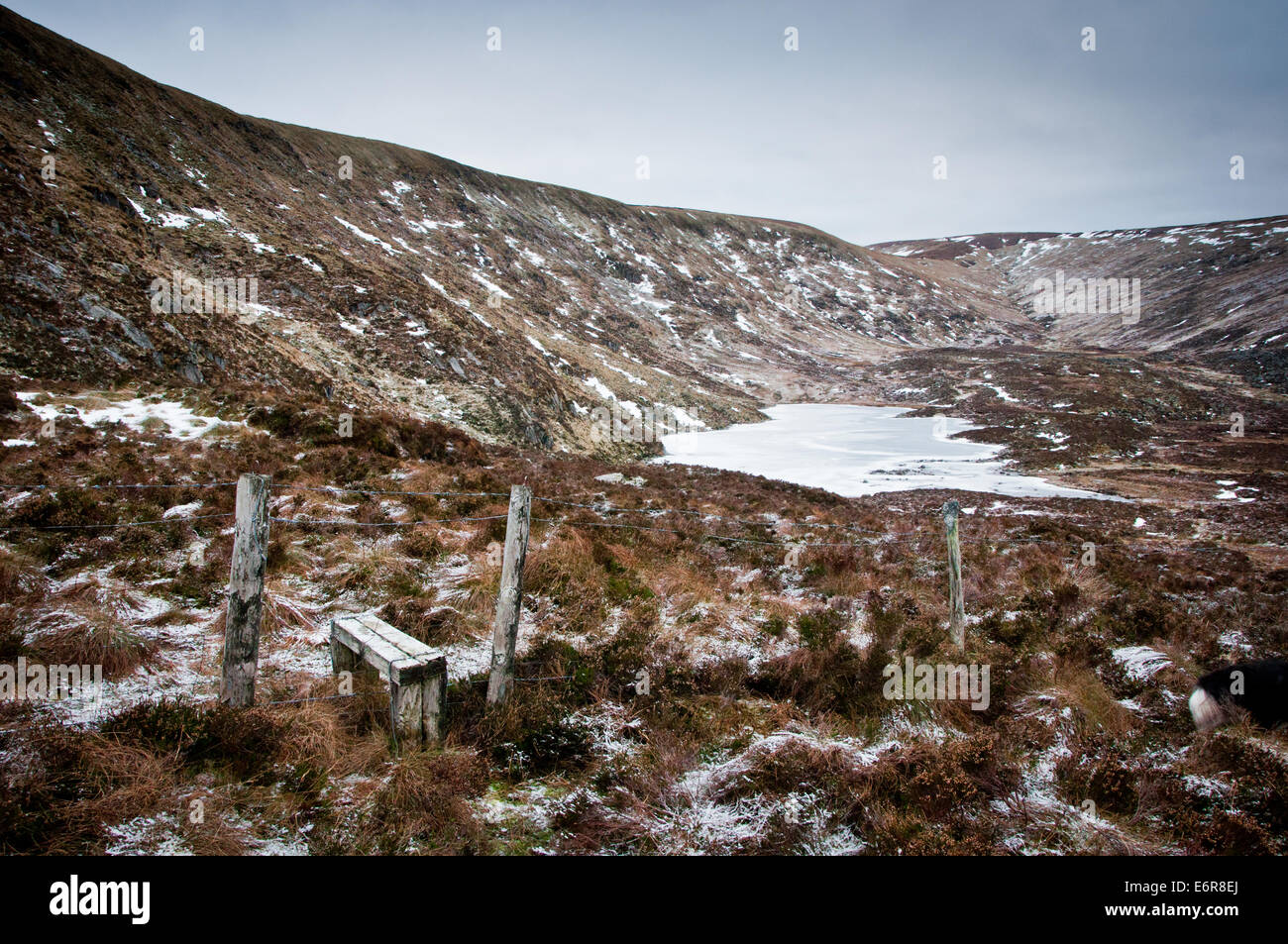 Kelly's Lough gelés en hiver glacial à Wicklow Mountains de l'Irlande Banque D'Images