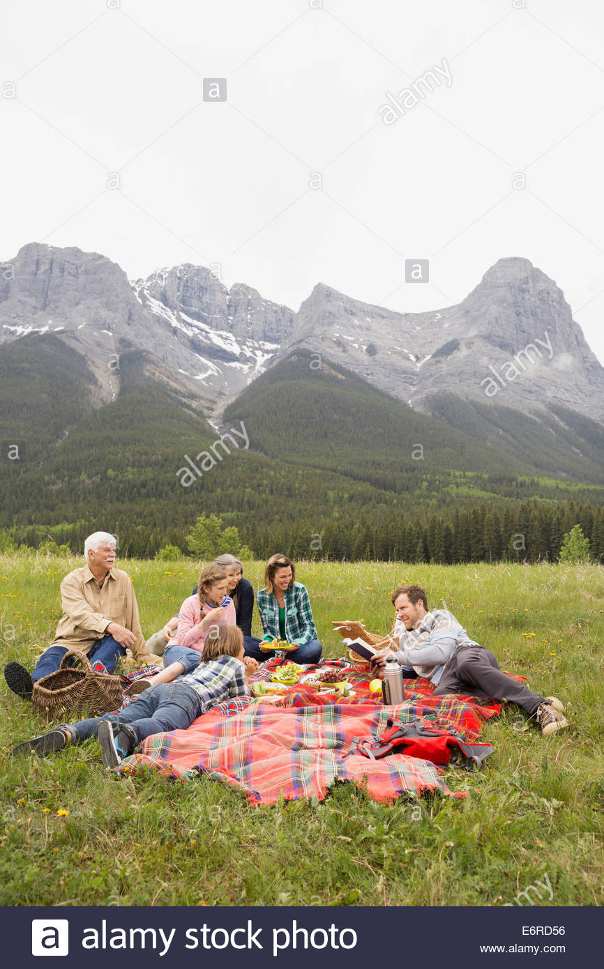 Family having picnic in rural field Banque D'Images