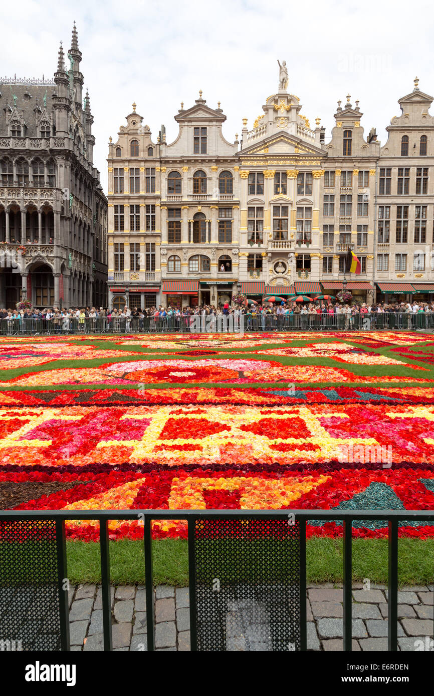Tapis de Fleurs sur la Grand place à Bruxelles, Belgique. La verticale Banque D'Images