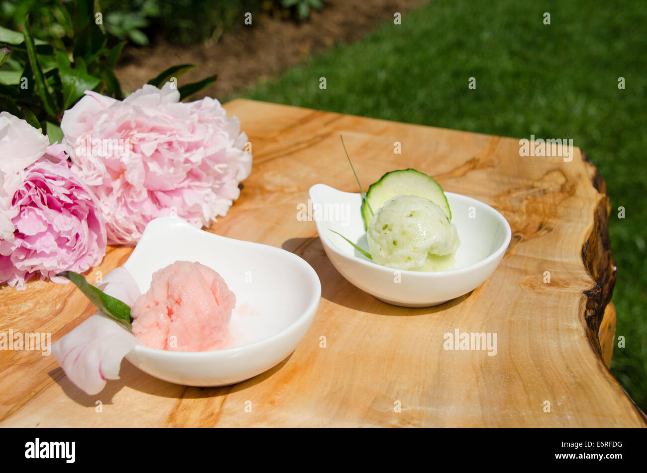 Pique-nique avec propagation dessert bols de gelato, sorbet ou glace Banque D'Images