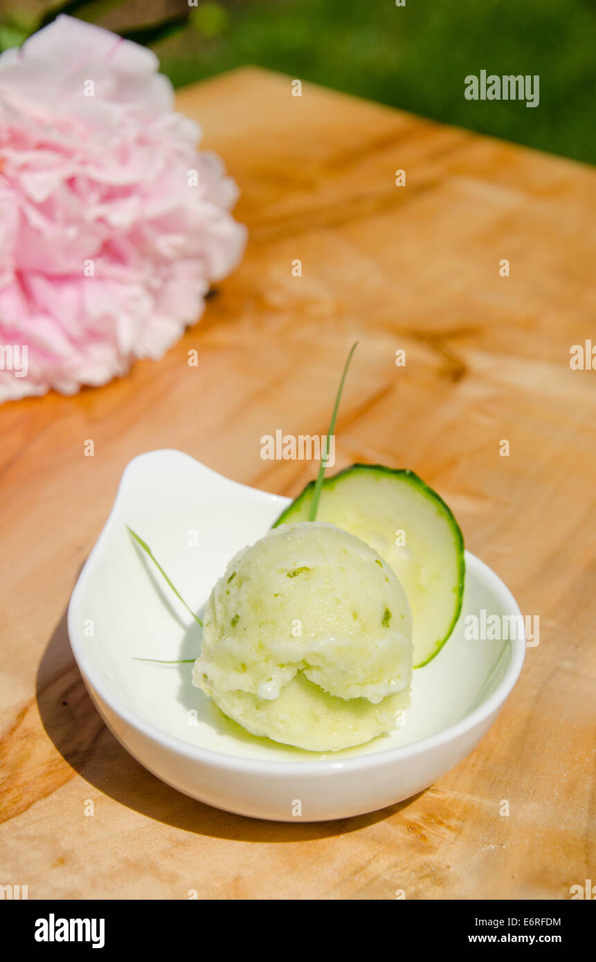 Bol de menthe concombre rafraîchissant et froide ou sorbet gelato sur une planche en bois avec des fleurs Banque D'Images