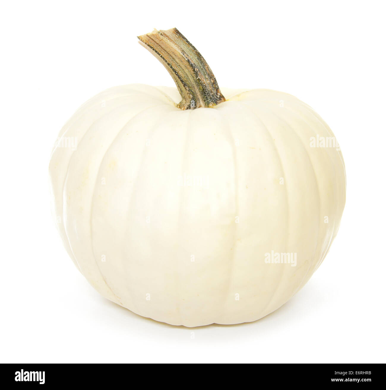Automne blanc pumpkin isolated on white Banque D'Images