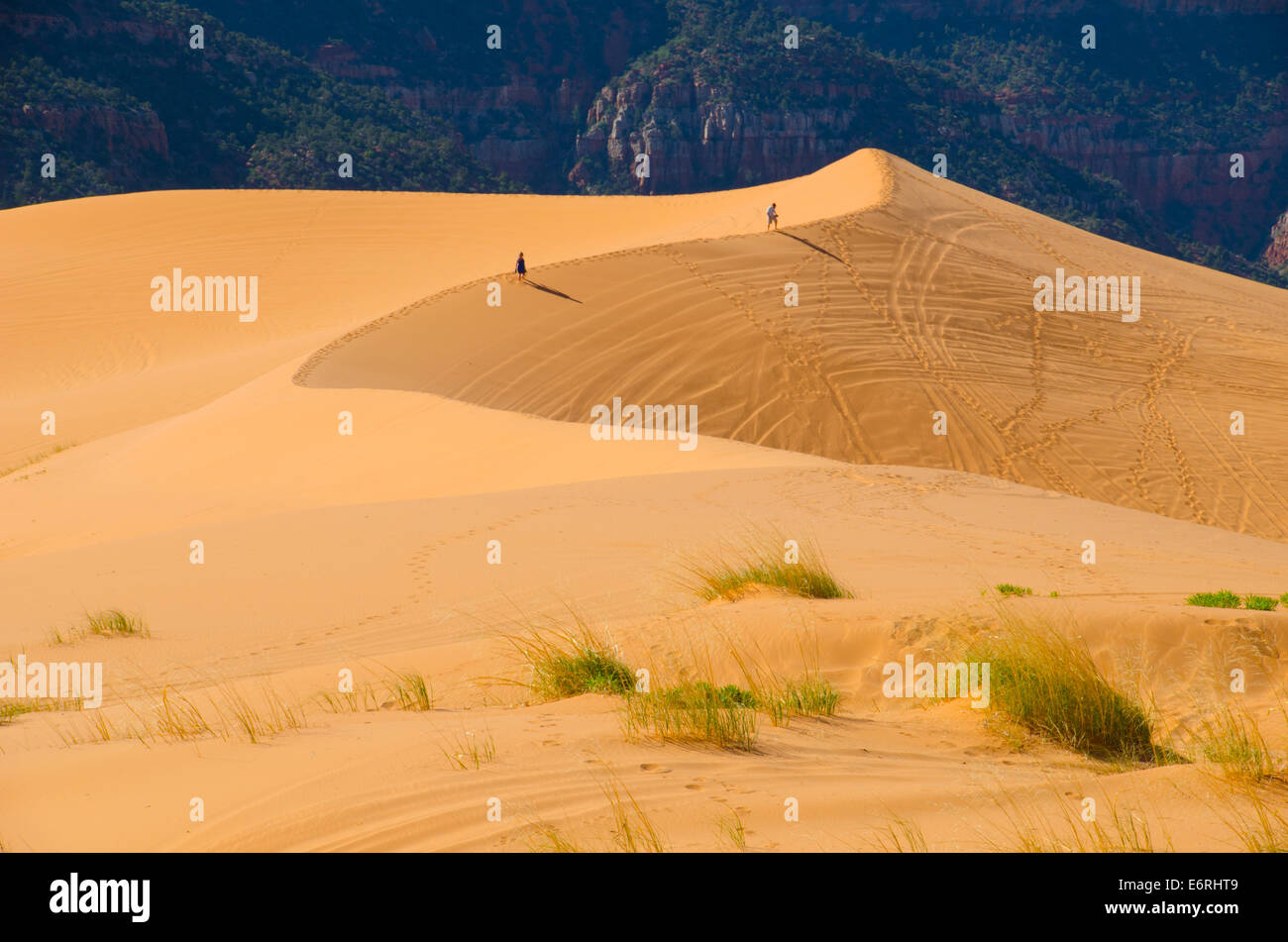 Deux randonneurs à pied le long de la jante d'une dune de sable orange imposants dans le désert de l'Utah Banque D'Images