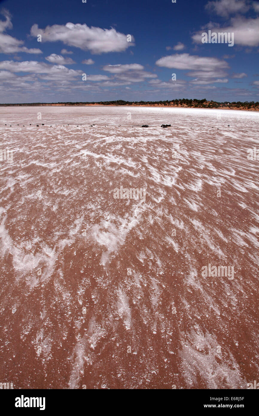 Lake Hart, l'Australie du Sud Banque D'Images