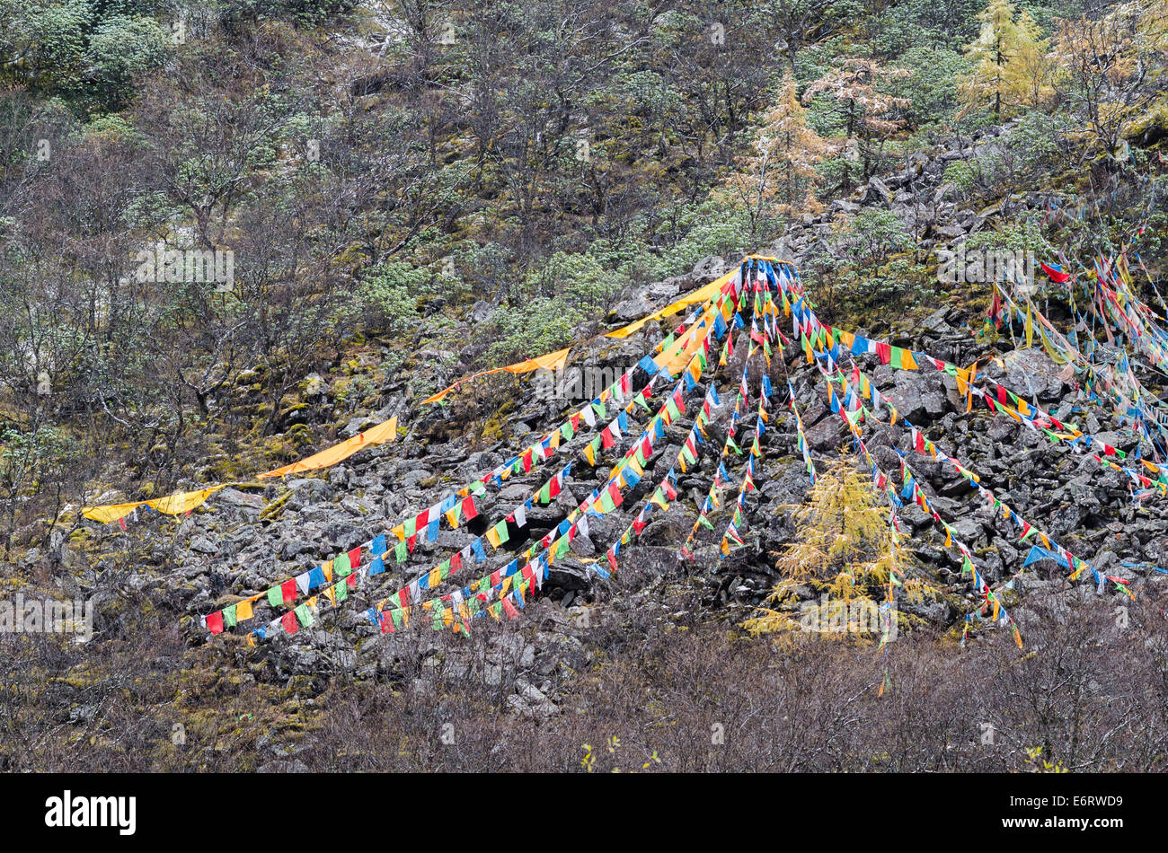 Drapeaux de prière tibetains sur un versant de montagne à Huanglong, Site du patrimoine de l'Unesco, dans la province de Sichuan de Chine Banque D'Images