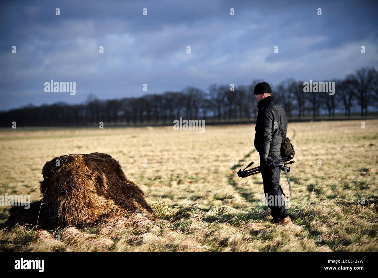 Photographe sur le terrain Banque D'Images