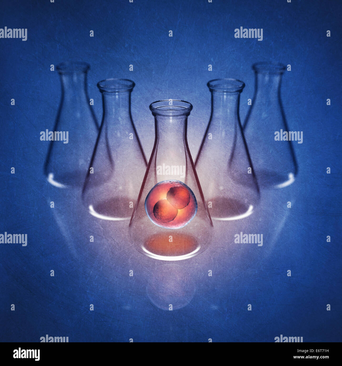 Dans l'embryon à deux cellules flacon de laboratoire sur fond bleu , Human Fertilisation , illustration détaillée Banque D'Images