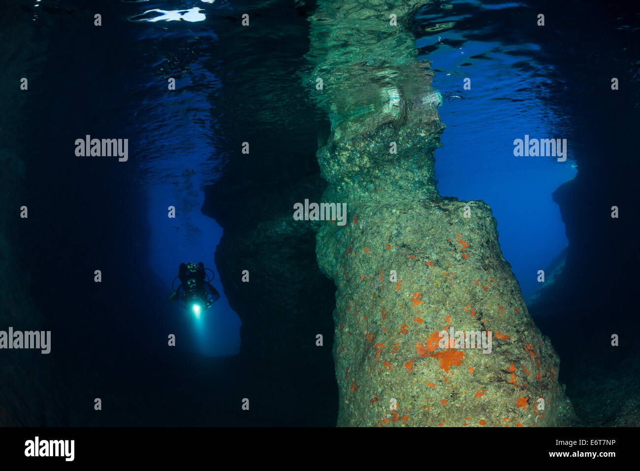 Plongée sous marine dans la grotte, l'île de Vis, Mer Adriatique, Croatie Banque D'Images