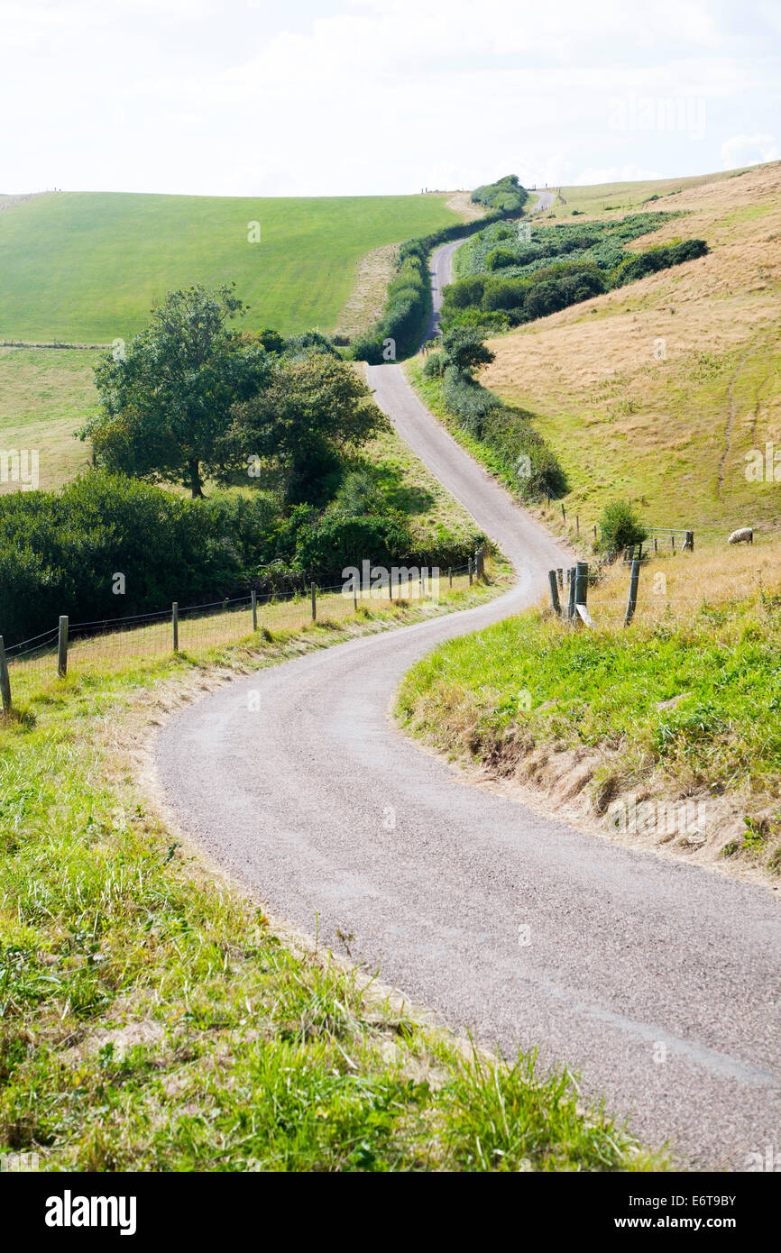 Route de campagne étroite et tortueuse passant par campagne près de Abbotsbury, Dorset, Angleterre Banque D'Images