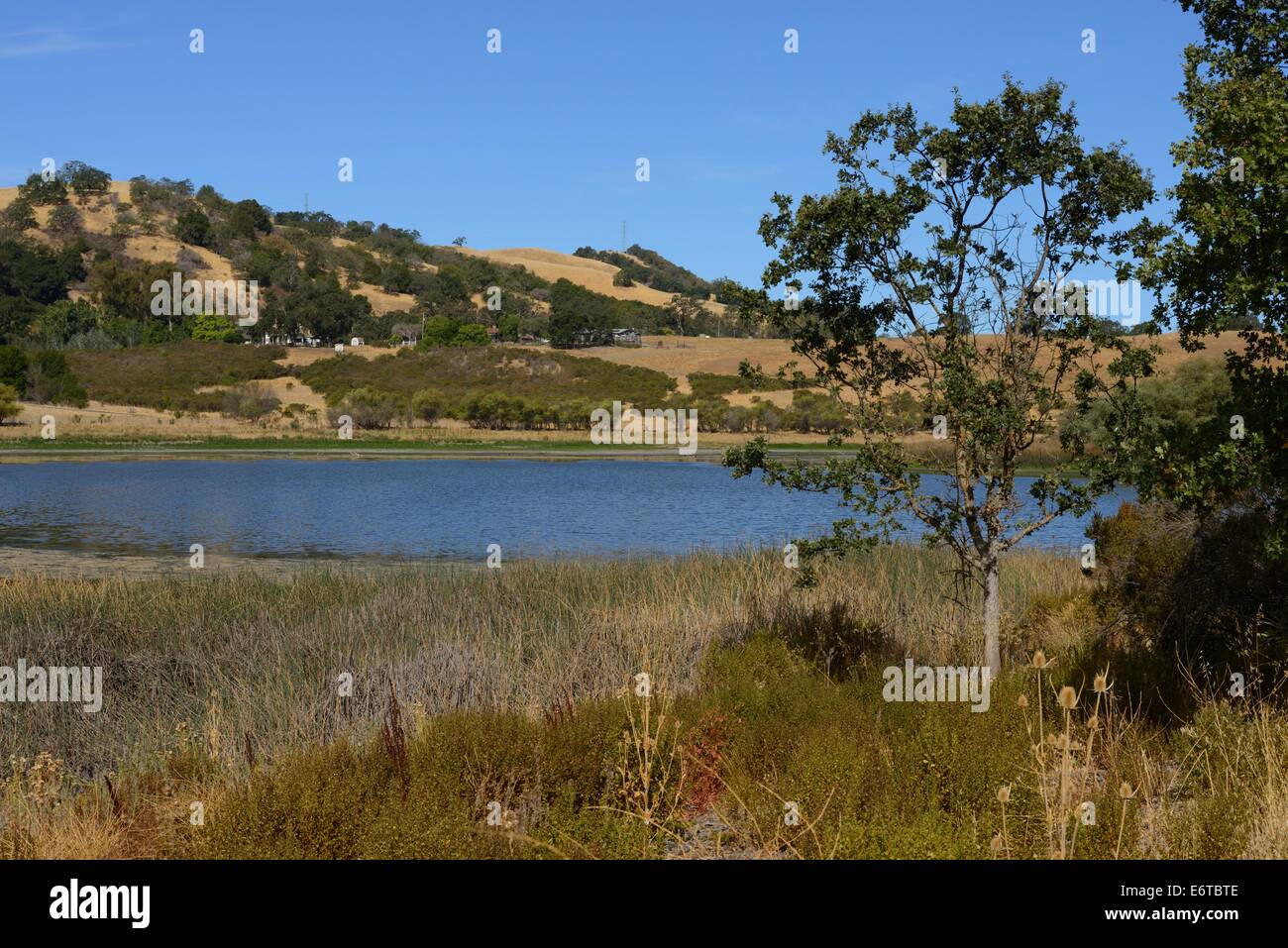 Le parc du comté de Joseph D. Grant avec le lac Halls Valley (artificiel), Santa Clara CA Banque D'Images