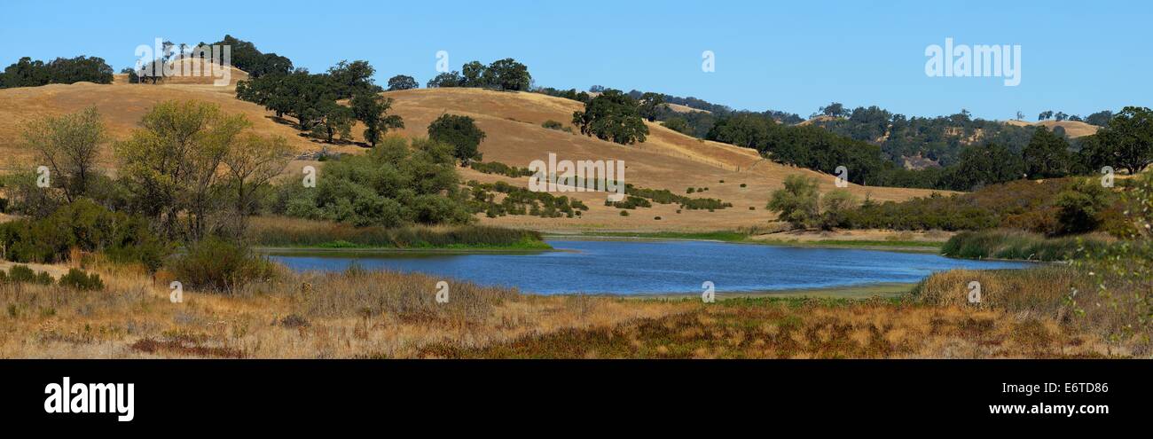 Le parc du comté de Joseph D. Grant avec le lac Halls Valley (artificiel), Santa Clara CA Banque D'Images