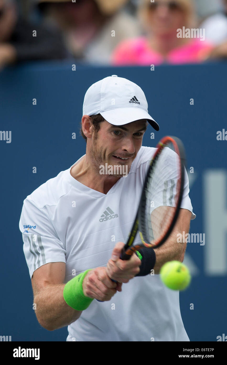 Flushing Meadows, New York, USA. 30e Août, 2014. Andy Murray (GBR) en action 3 tour à l'US Open Tennis Championships. © Paul J. Sutton/PCN Banque D'Images
