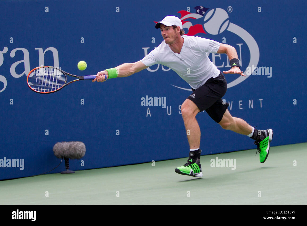 Flushing Meadows, New York, USA. 30e Août, 2014. Andy Murray (GBR) en action 3 tour à l'US Open Tennis Championships. © Paul J. Sutton/PCN Banque D'Images
