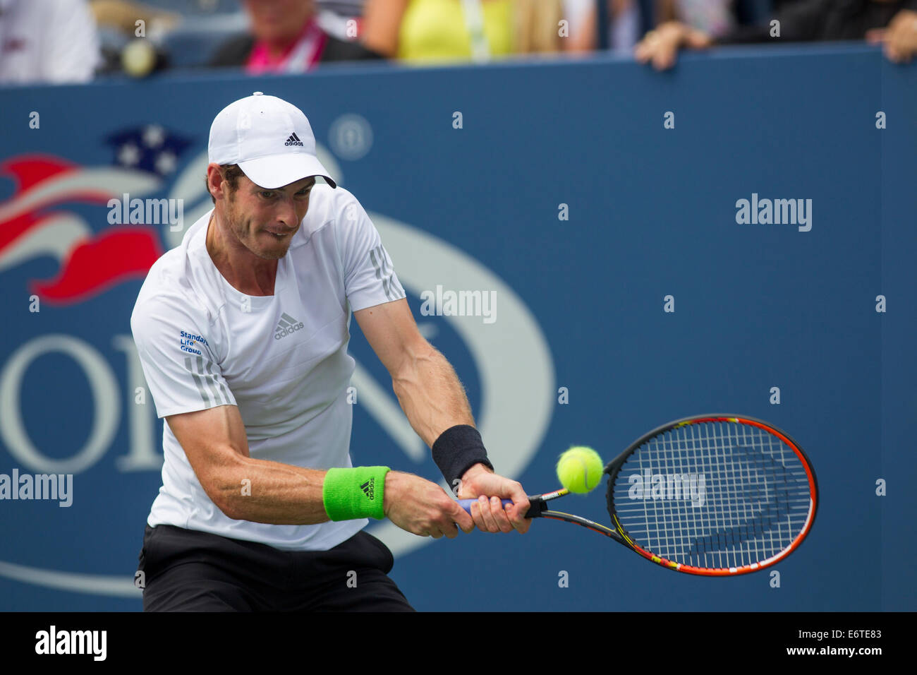 Flushing Meadows, New York, USA. 30e Août, 2014. Andy Murray (GBR) en action 3 tour à l'US Open Tennis Championships. © Paul J. Sutton/PCN Banque D'Images