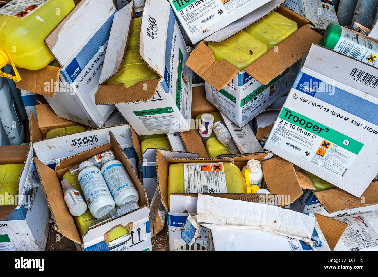 Un tas de boîtes et bidons jetés une fois que contenaient des pesticides. Un risque pour la santé ? Banque D'Images