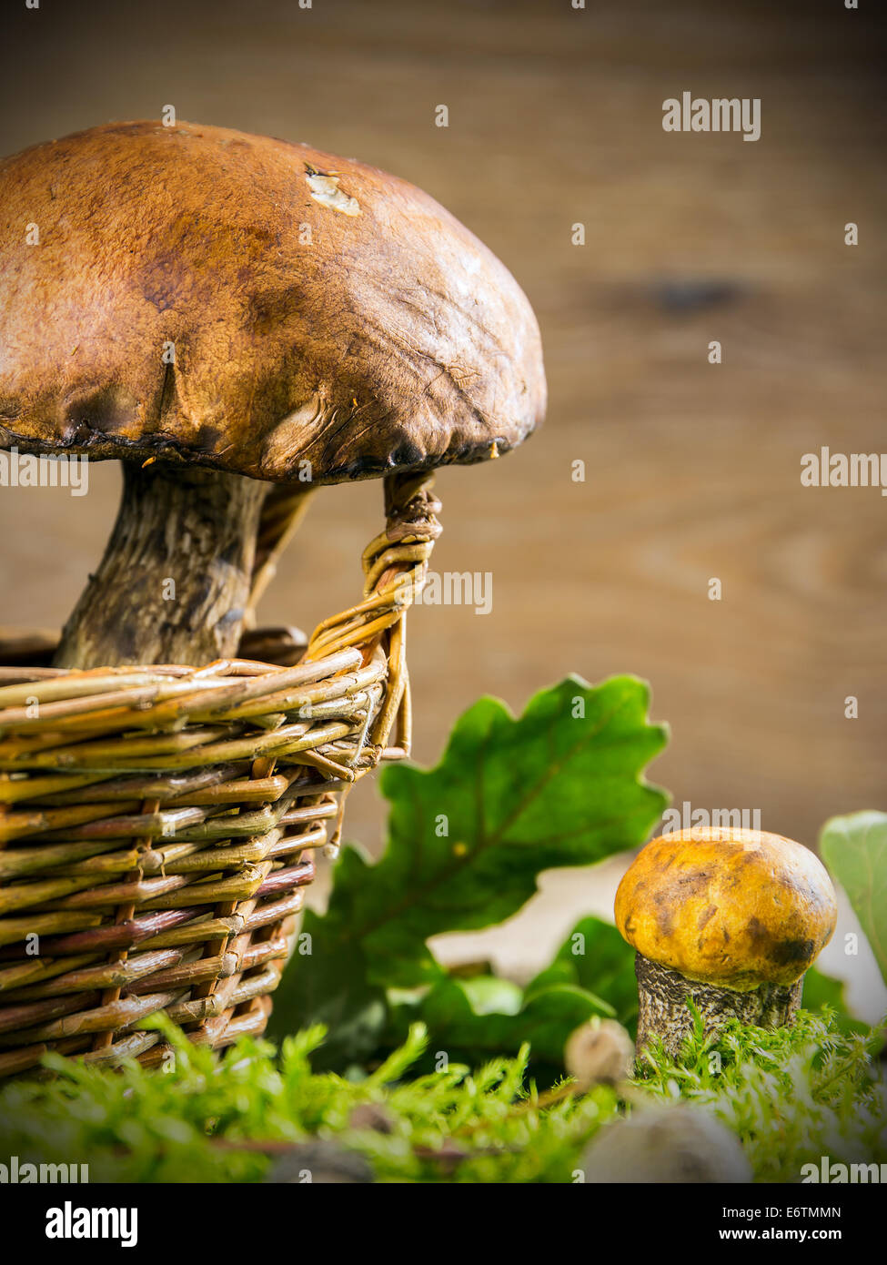 Les champignons frais de la forêt contre l'arrière-plan en bois Banque D'Images