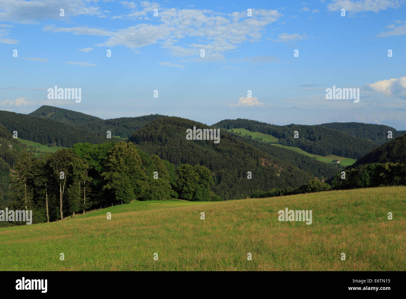 Un paisible paysage bleu et vert pris dans Bâle-Campagne, Suisse. Banque D'Images