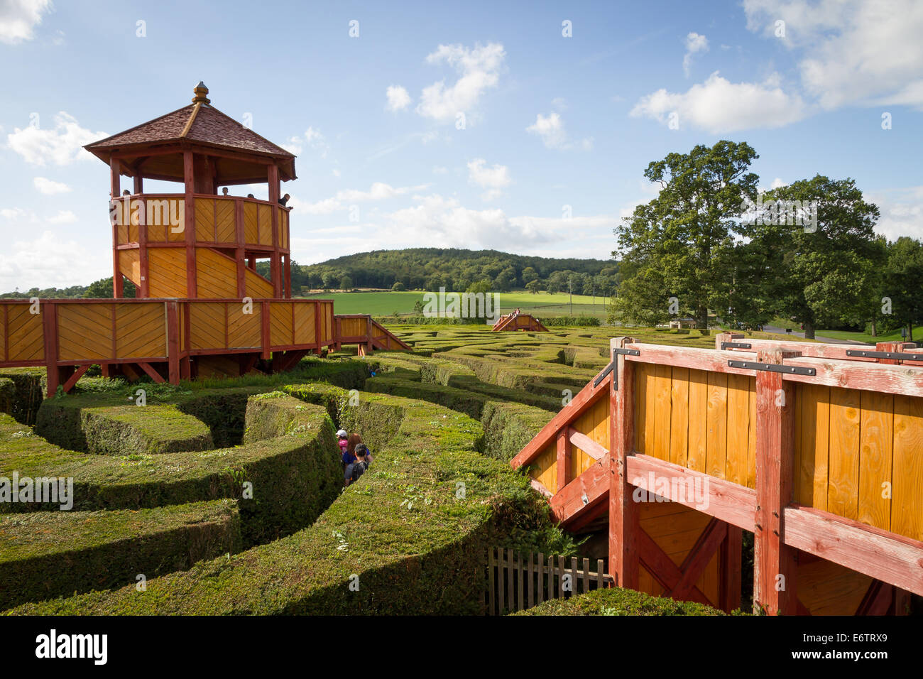 Labyrinthe de couverture à Longleat Safari Park Banque D'Images