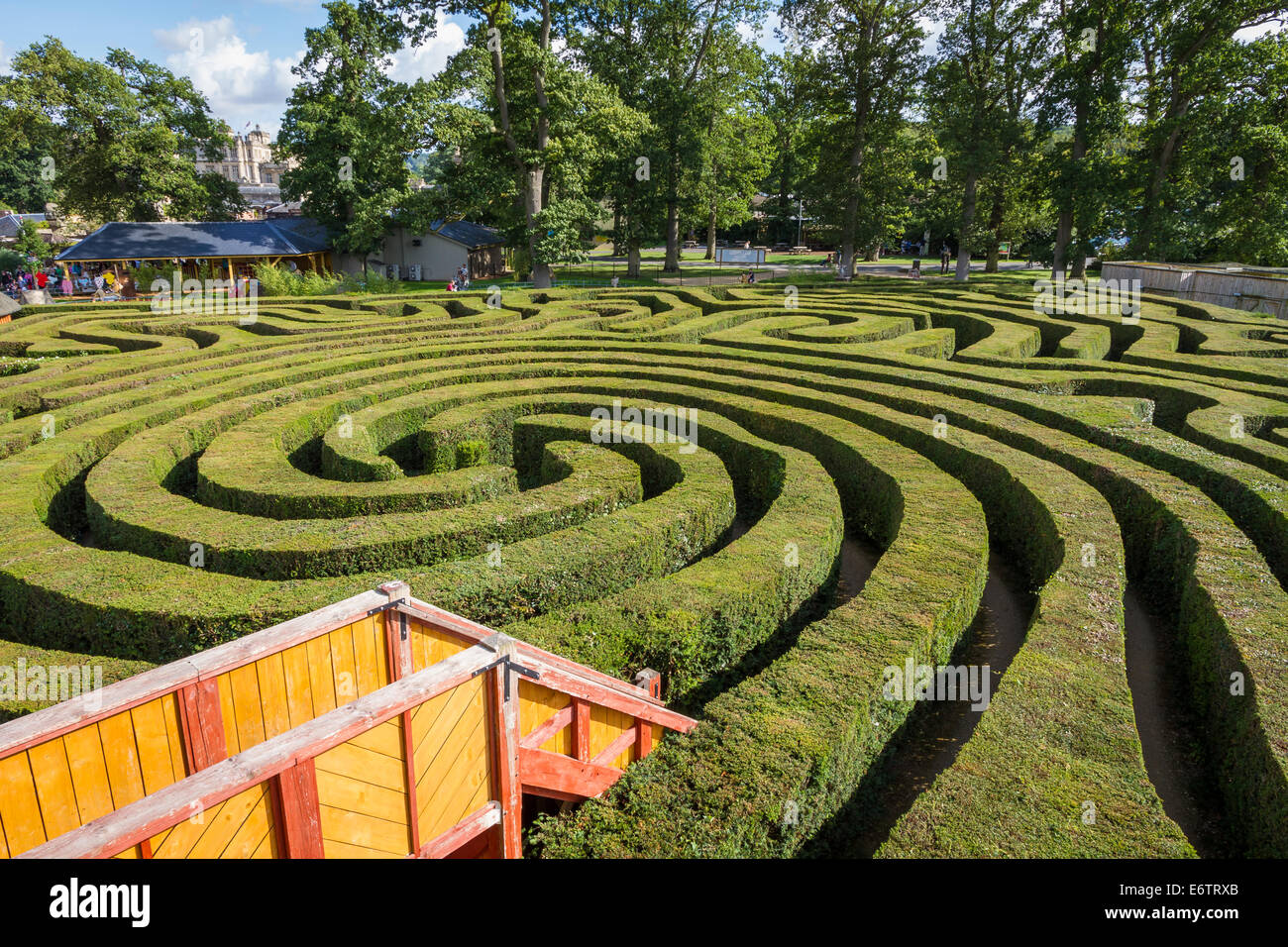 Labyrinthe de couverture à Longleat Safari Park Banque D'Images