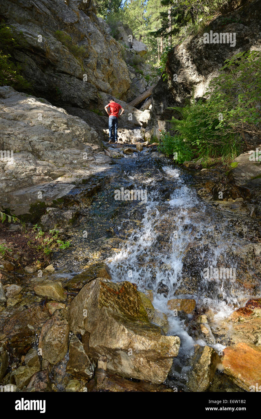 Les randonneurs profiter Post Creek au mont Graham dans l'Pinaleño Montagnes, Coronado National Forest, près de Safford, Arizona, USA. Banque D'Images