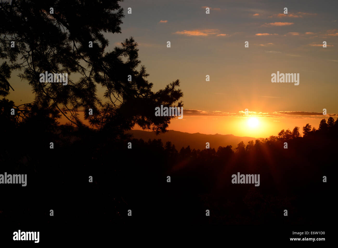 Le coucher de soleil vu du Mont Graham dans Pinaleño les montagnes de la forêt nationale de Coronado près de Safford, Arizona, USA. Banque D'Images