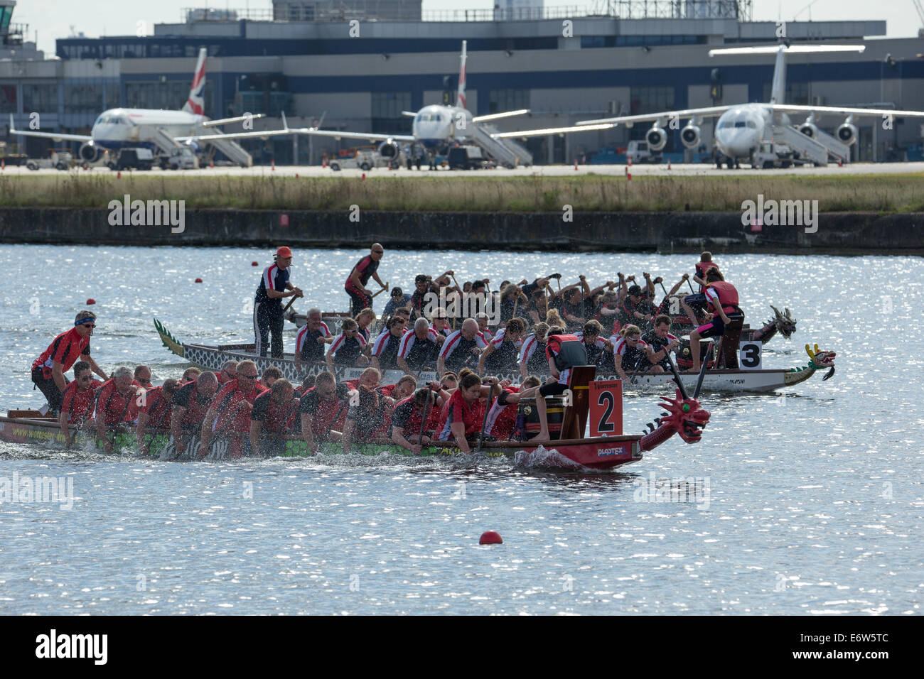 Londres, Royaume-Uni. 31 août 2014. La dernière régate de Ligue nationale BDA la course de bateaux-dragons a eu lieu au London Regatta Centre, Royal Albert Docks, Londres Banque D'Images