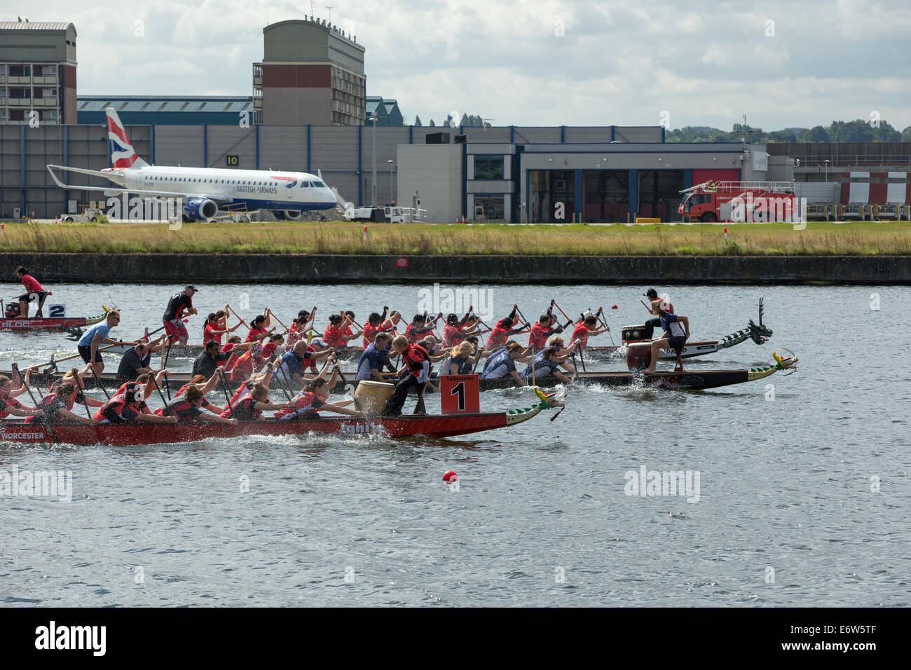 Londres, Royaume-Uni. 31 août 2014. La dernière régate de Ligue nationale BDA la course de bateaux-dragons a eu lieu au London Regatta Centre, Royal Albert Docks, Londres Banque D'Images