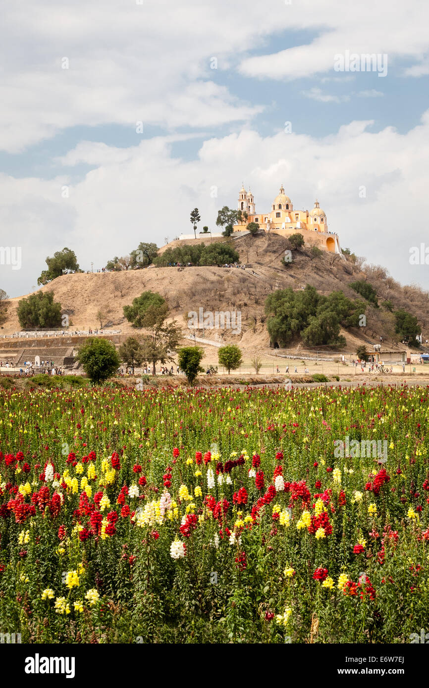 Champ de fleurs près de la pyramide et le Temple Remedios à Cholula, Puebla, Mexique. Banque D'Images
