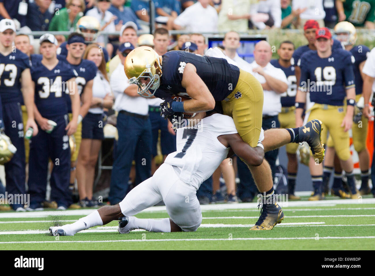 South Bend, Indiana, USA. 30e Août, 2014. Notre Dame TE BEN KOYACK (18) est abordé par le riz blanc (7 JULIUS SAF) après avoir fait une prise au cours du premier semestre. La Cathédrale Notre Dame Fighting Irish défait les hiboux Riz 48-17 au stade Notre-dame à South Bend, Indiana. © Frank Jansky/ZUMA/Alamy Fil Live News Banque D'Images