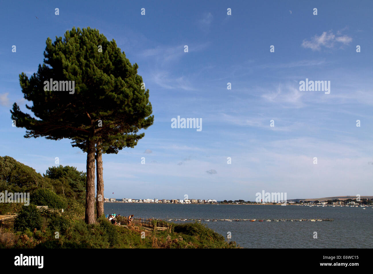 La vue depuis la colline du soir à l'ensemble de la péninsule de Sandbanks, Dorset. Banque D'Images