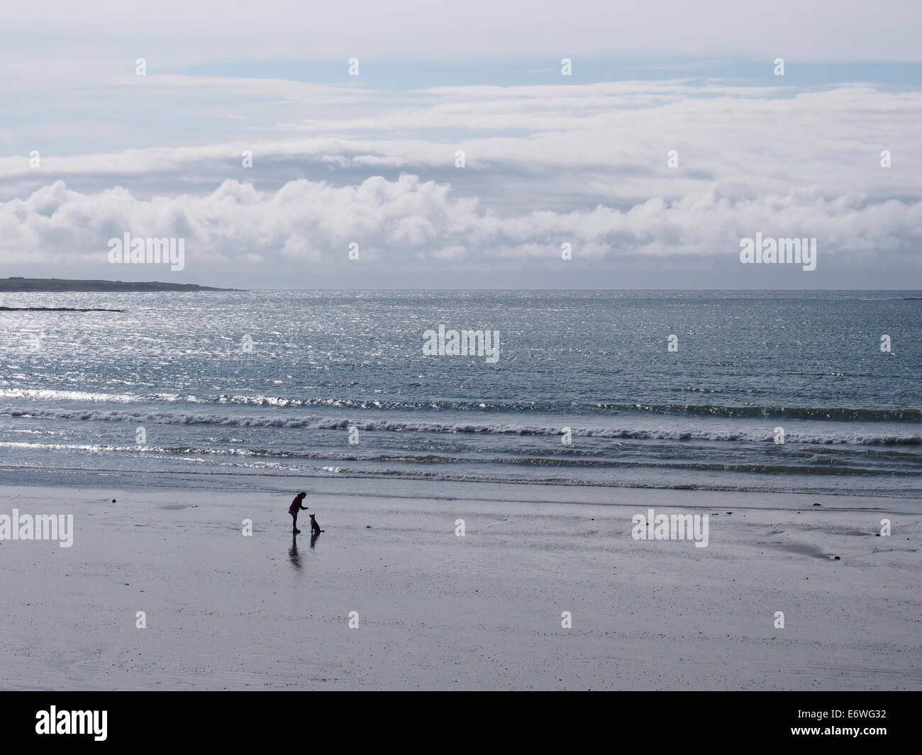 Dog Walker sur la plage près de Port St Mary, à l'île de Man Banque D'Images
