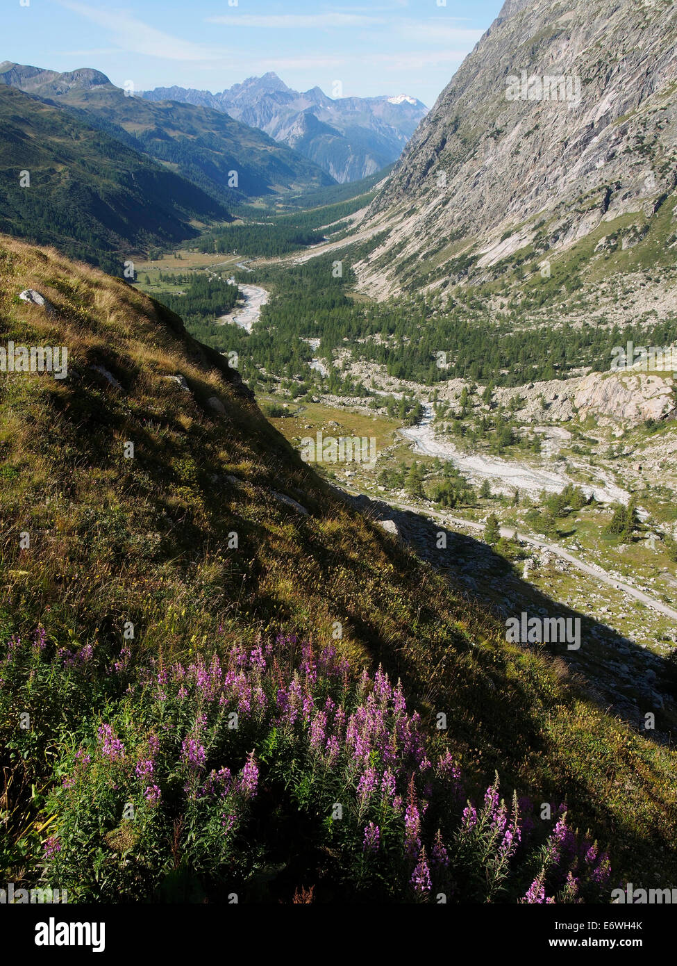 Val Ferret italien de Refuge Elena Banque D'Images