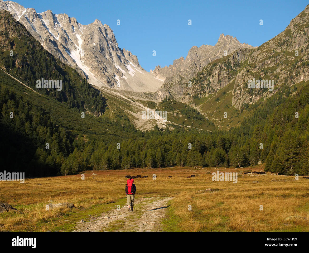 Randonnée Tour du Mont Blanc, Val d'Arpette, Suisse Banque D'Images