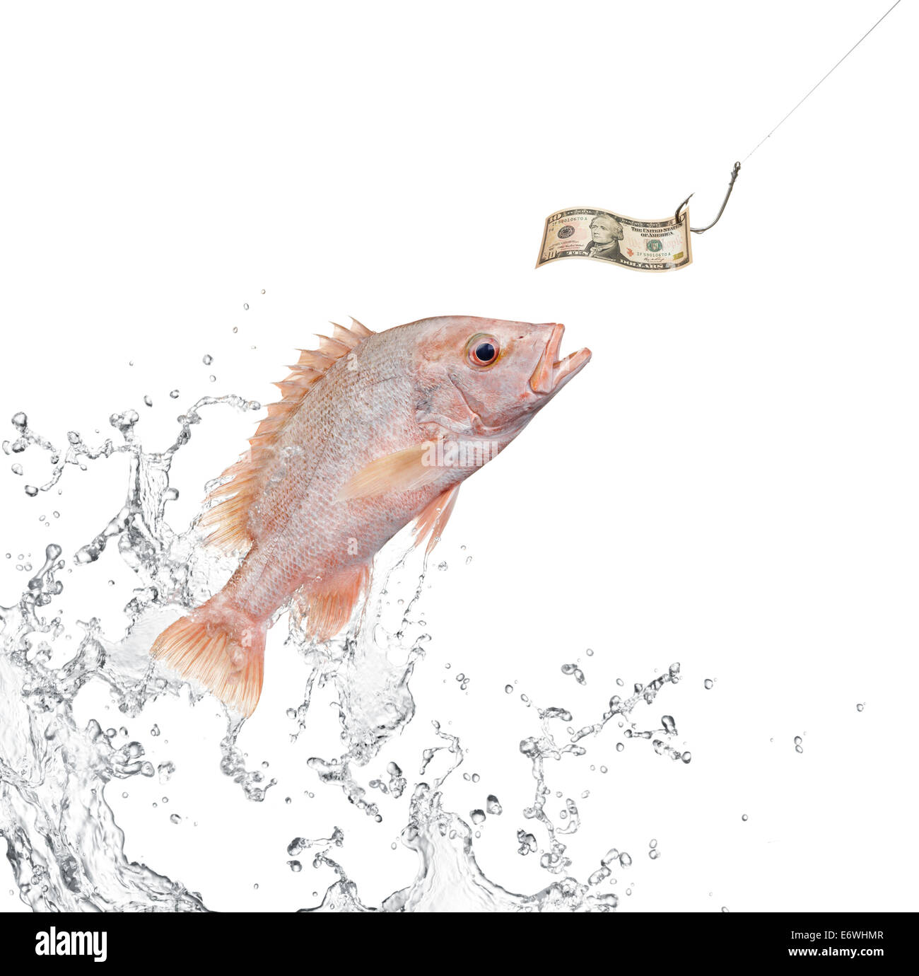 Les poissons sautant hors de l'eau pour la chasse d'argent Banque D'Images Les poissons sautant hors de l'eau pour la chasse d'argent Banque D'Images